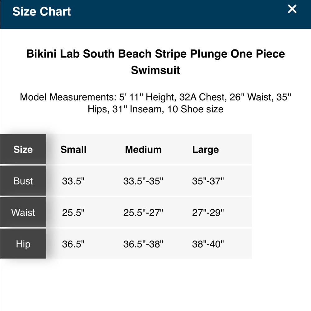 The Bikini Lab South Beach Striped Bathing Suit - Picture 4 of 5
